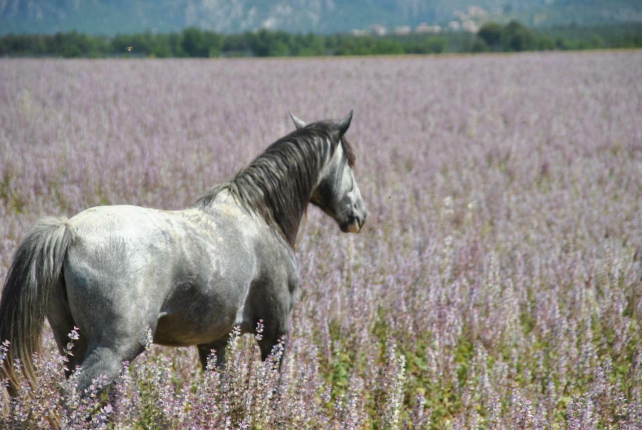 La Rabasse De Gallinette โอปส์ ภายนอก รูปภาพ